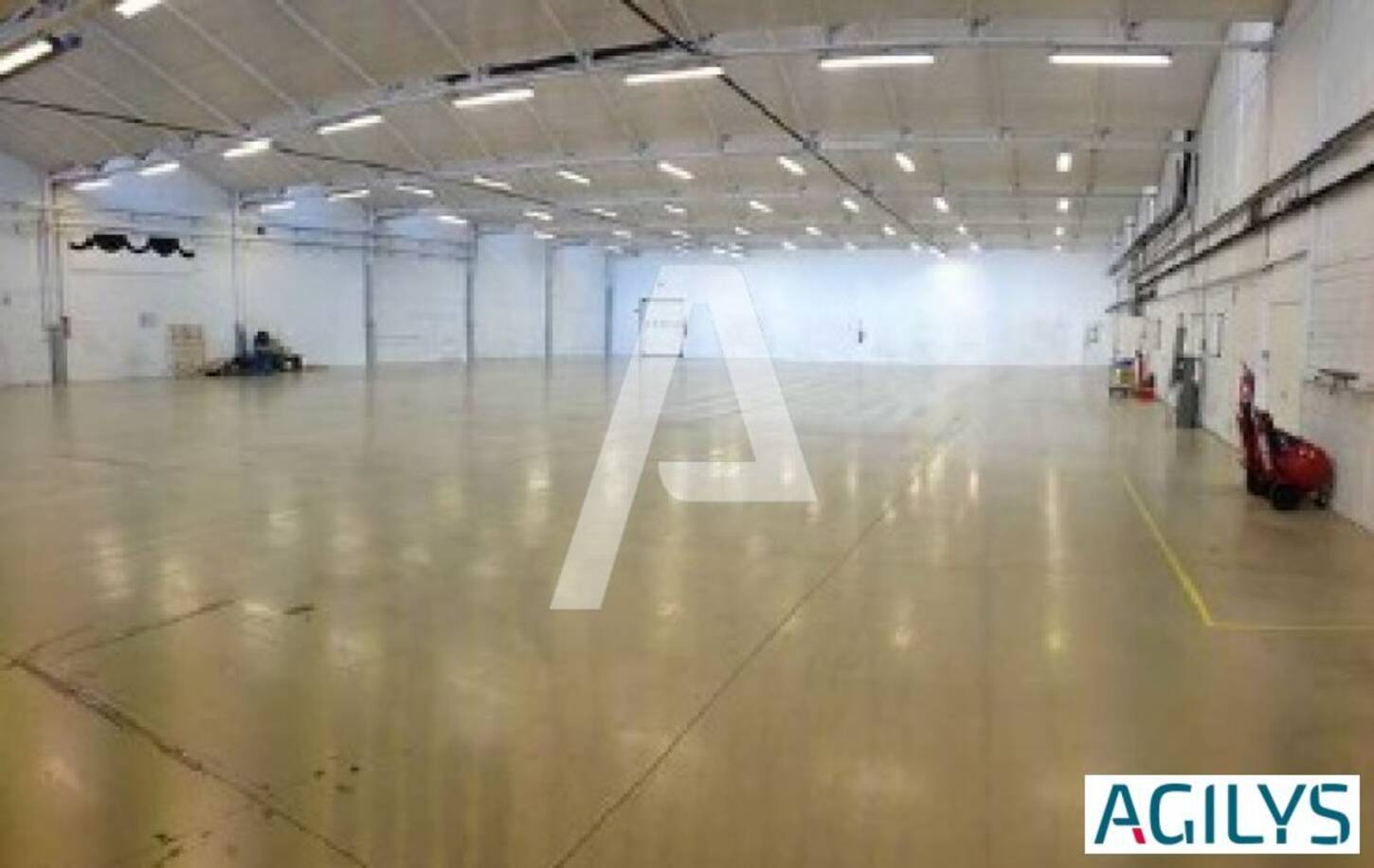 REXIM - Entrepôt - Massy - 2