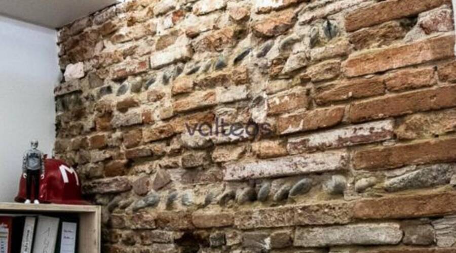 REXIM - Bureau - Haute-Garonne - Toulouse - 4