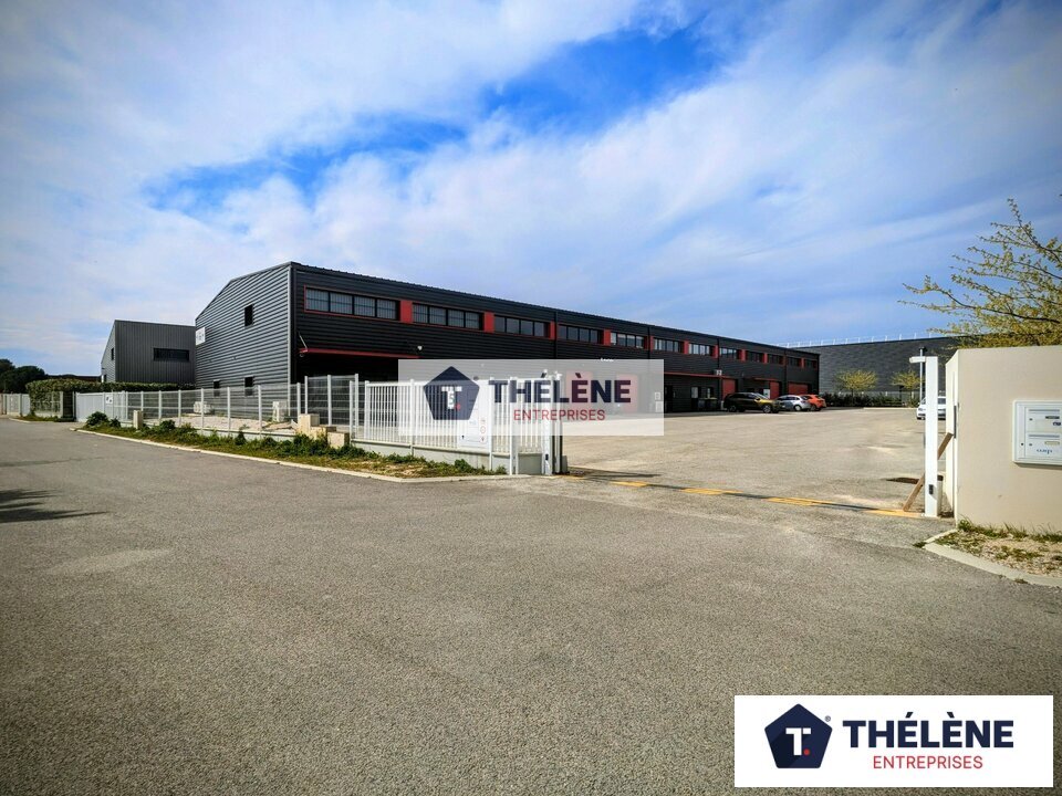 REXIM - Local d'activités - Gard - Gallargues-le-Montueux - 6