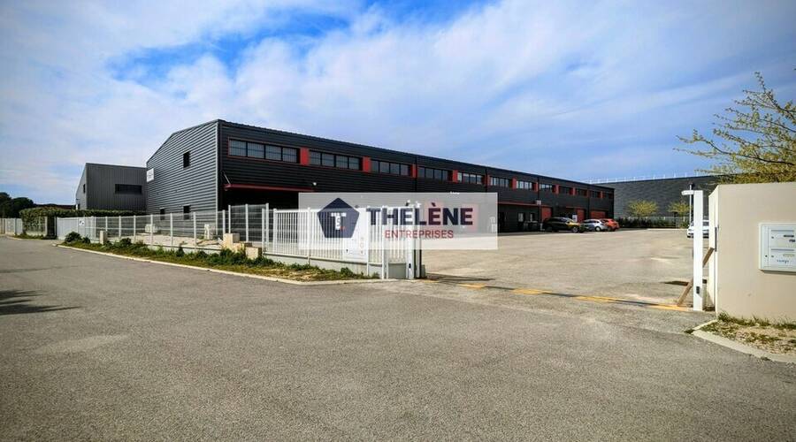 REXIM - Local d'activités - Gard - Gallargues-le-Montueux - 6