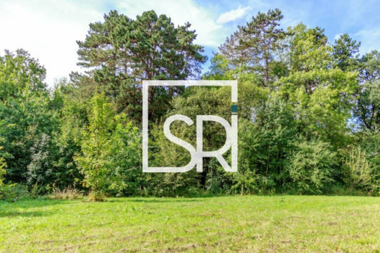 REXIM - Terrain - Allier - Lapalisse - 2