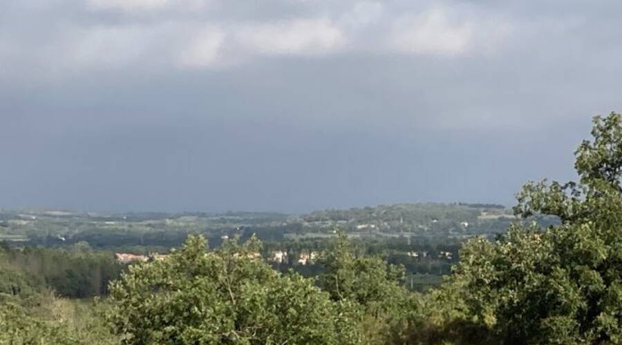 REXIM - Terrain - Pyrénées-Orientales - Villelongue-dels-Monts - 3