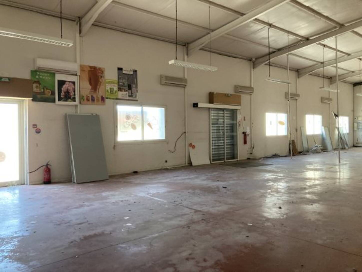 REXIM - Local d'activités - Pyrénées-Orientales - Argelès-sur-Mer - 2