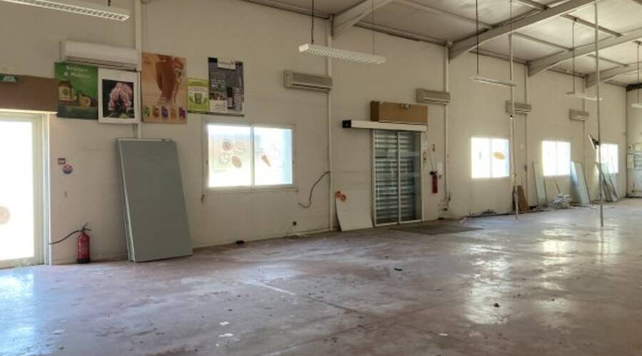 REXIM - Local d'activités - Pyrénées-Orientales - Argelès-sur-Mer - 2