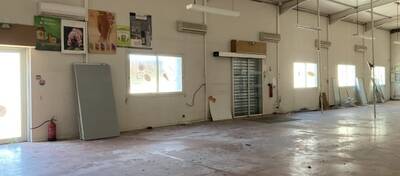 REXIM - Local d'activités - Pyrénées-Orientales - Argelès-sur-Mer - 2