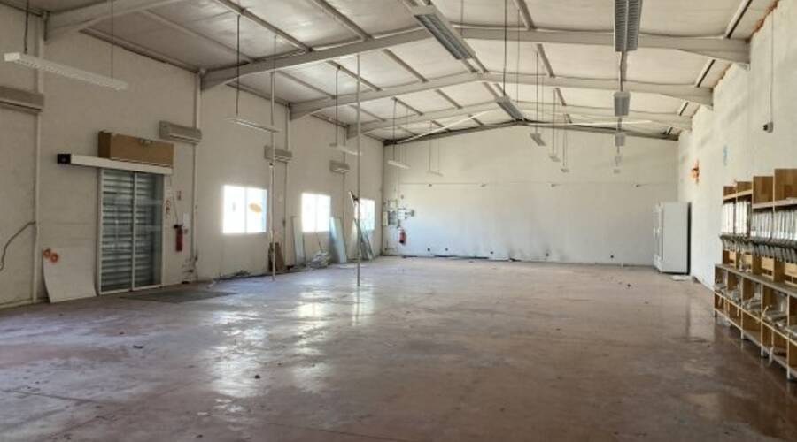 REXIM - Local d'activités - Pyrénées-Orientales - Argelès-sur-Mer - 3