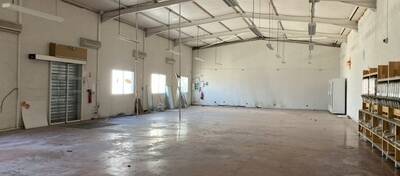 REXIM - Local d'activités - Pyrénées-Orientales - Argelès-sur-Mer - 3