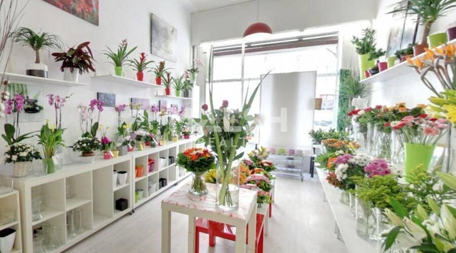 REXIM - Local commercial - Rhône - Lyon - 2