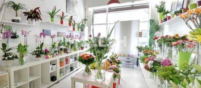 REXIM - Local commercial - Rhône - Lyon - 2
