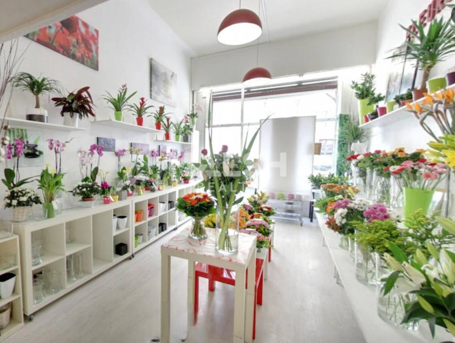 REXIM - Local commercial - Rhône - Lyon - 2