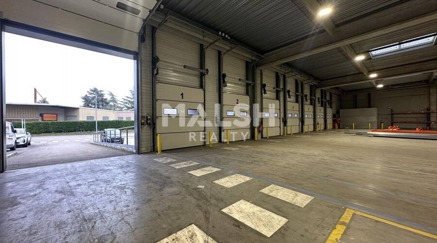 REXIM - Local d'activités - Rhône - Corbas - 4