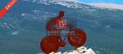 REXIM - Local commercial - Vaucluse - Carpentras - 1