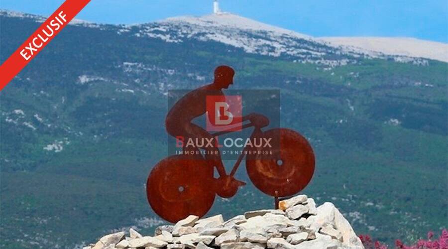 REXIM - Local commercial - Vaucluse - Carpentras - 1