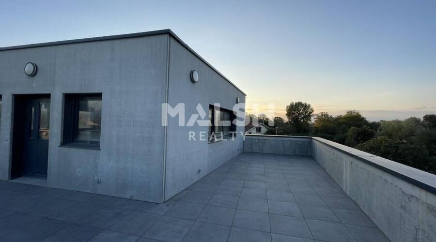 REXIM - Local d'activités - Rhône - Villeurbanne - 17