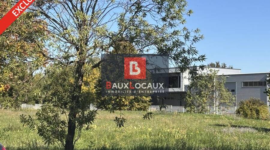 REXIM - Bureau - Gard - Roquemaure - 5