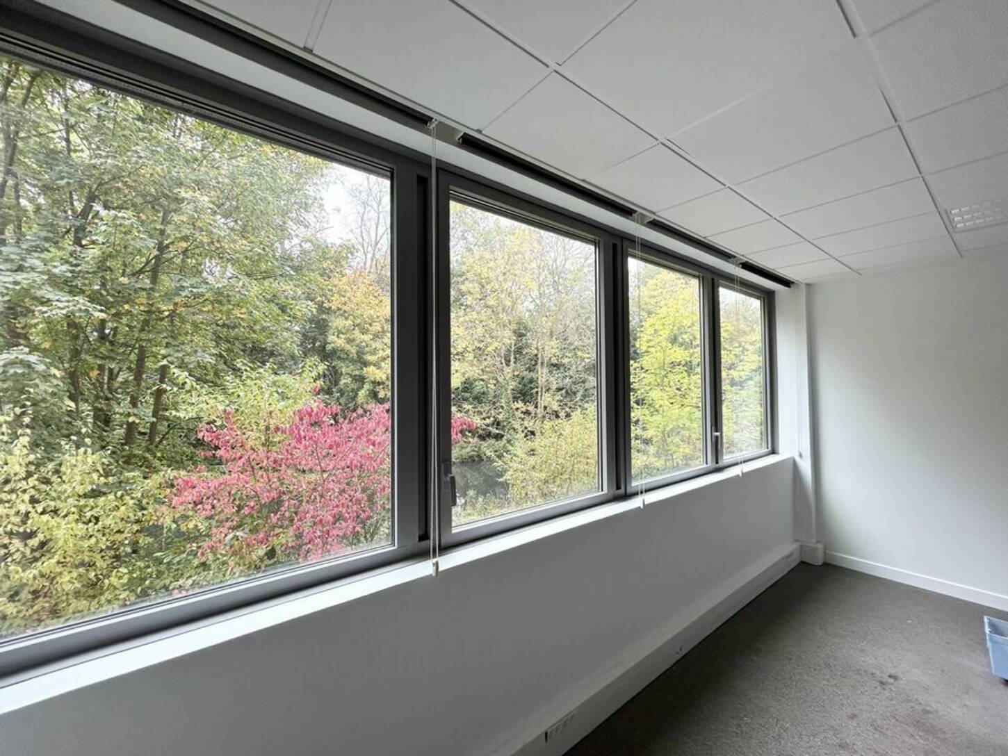 REXIM - Bureau - Nord - Marcq-En-Baroeul - 2