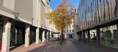 REXIM - Local commercial - Haut-Rhin - Mulhouse - 3