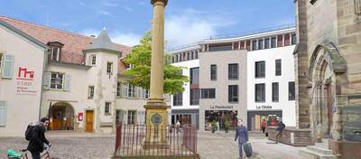 REXIM - Local commercial - Haut-Rhin - Mulhouse - 14