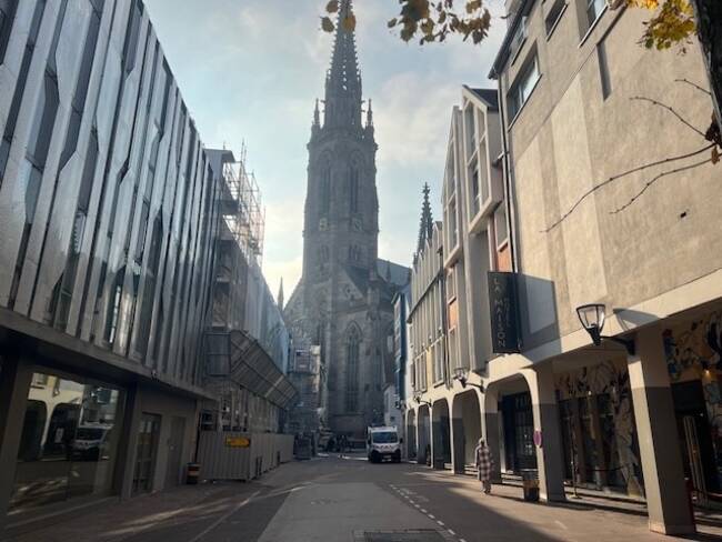 REXIM - Local commercial - Haut-Rhin - Mulhouse - 1