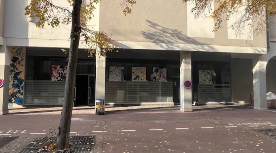 REXIM - Local commercial - Haut-Rhin - Mulhouse - 2