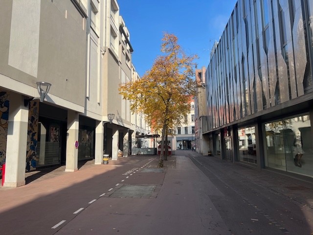 REXIM - Local commercial - Haut-Rhin - Mulhouse - 3
