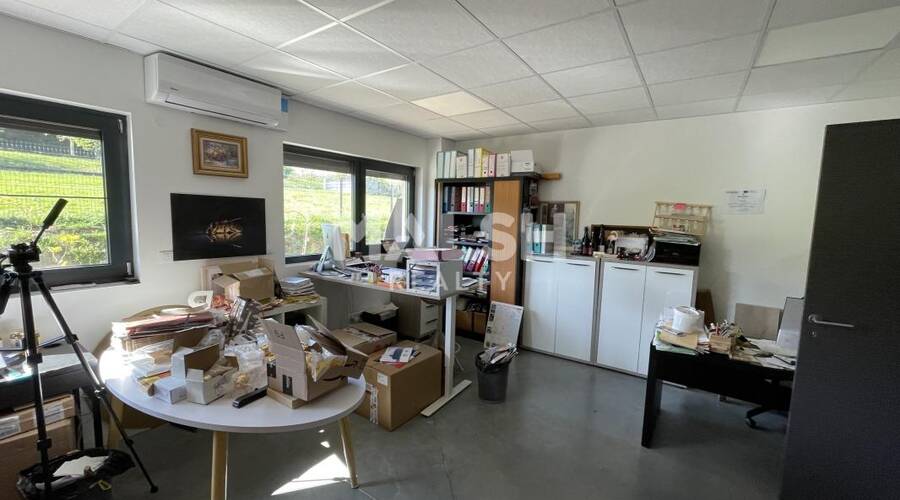 REXIM - Local d'activités - Rhône - Chasselay - 5