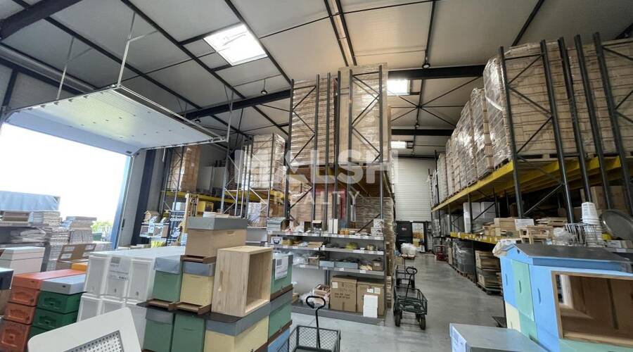 REXIM - Local d'activités - Rhône - Chasselay - 6