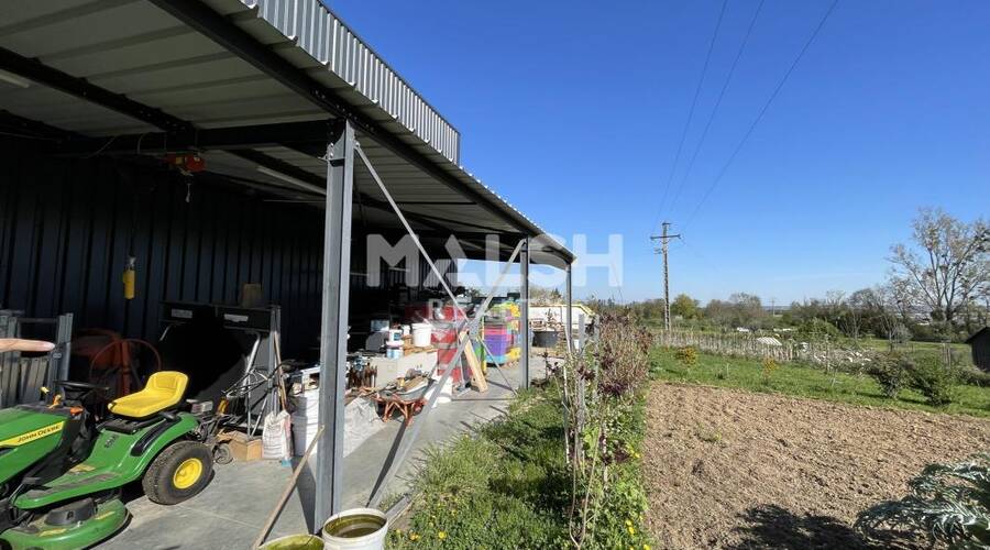 REXIM - Local d'activités - Rhône - Chasselay - 15