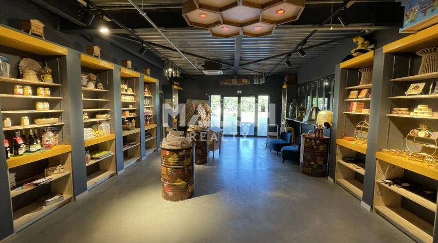 REXIM - Local d'activités - Rhône - Chasselay - 2