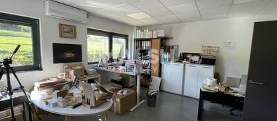 REXIM - Local d'activités - Rhône - Chasselay - 5