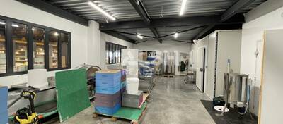 REXIM - Local d'activités - Rhône - Chasselay - 10