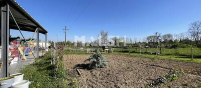 REXIM - Local d'activités - Rhône - Chasselay - 16