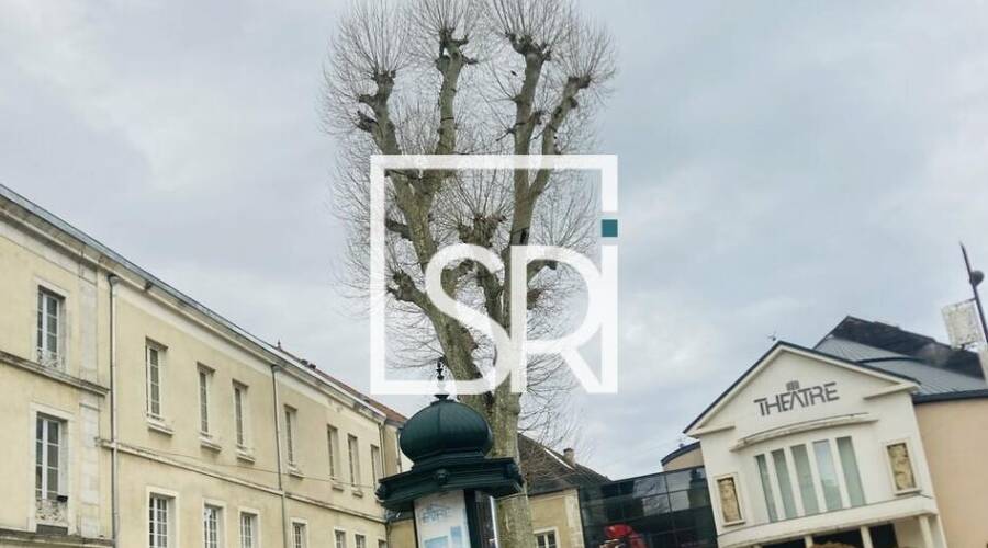 REXIM - Local commercial - Allier - Cusset - 8