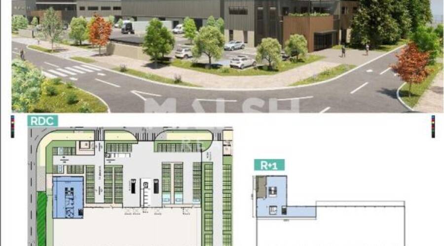 REXIM - Local d'activités - Rhône - Décines-Charpieu - 34