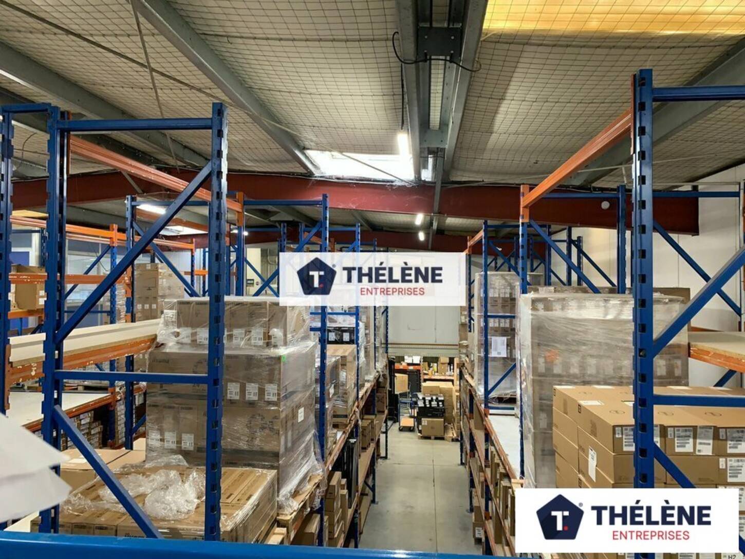 REXIM - Local d'activités - Hérault - Montpellier - 2