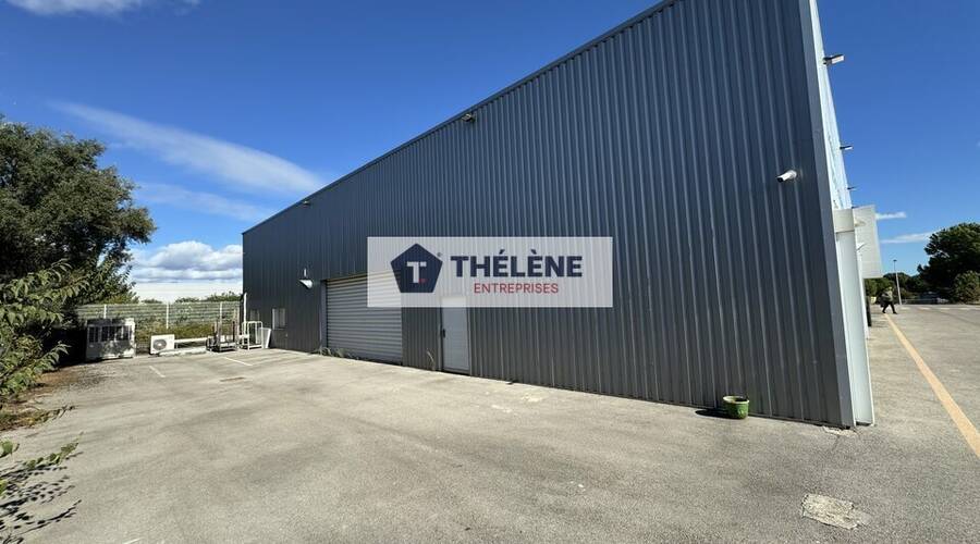 REXIM - Local commercial - Hérault - Montpellier - 7