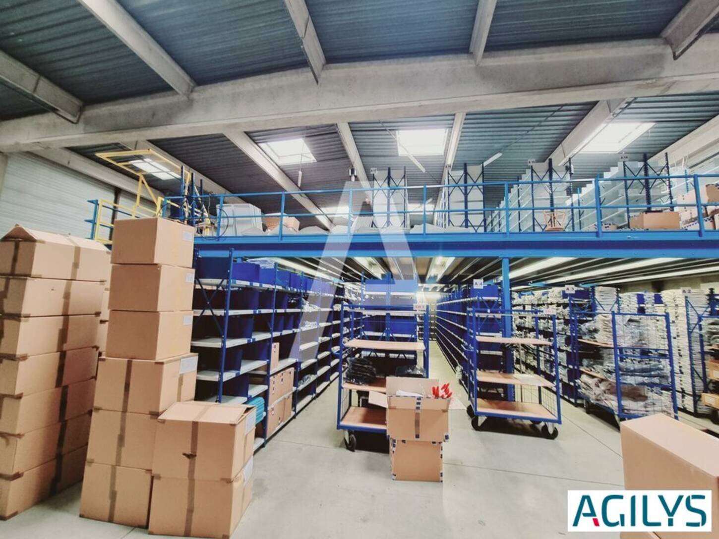 REXIM - Entrepôt - Palaiseau - 2