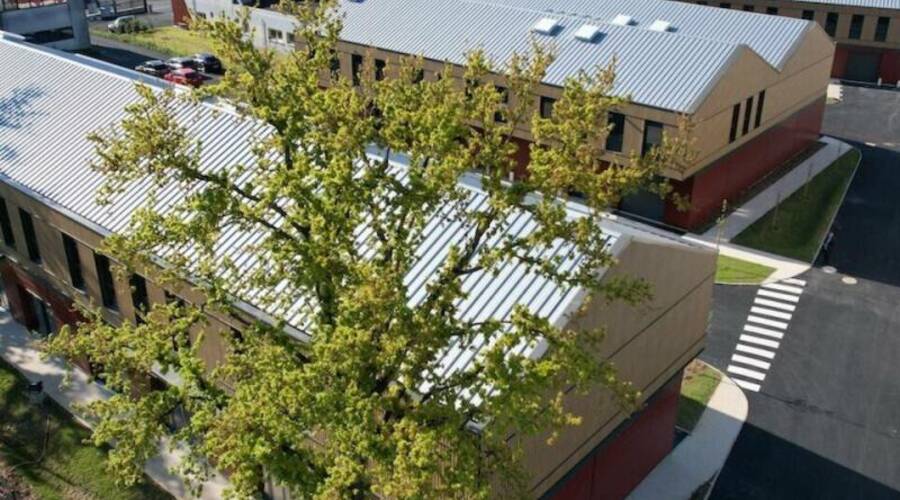 REXIM - Local d'activités - Marcoussis - 1