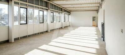 REXIM - Entrepôt - Saint-Thibault-des-Vignes - 8