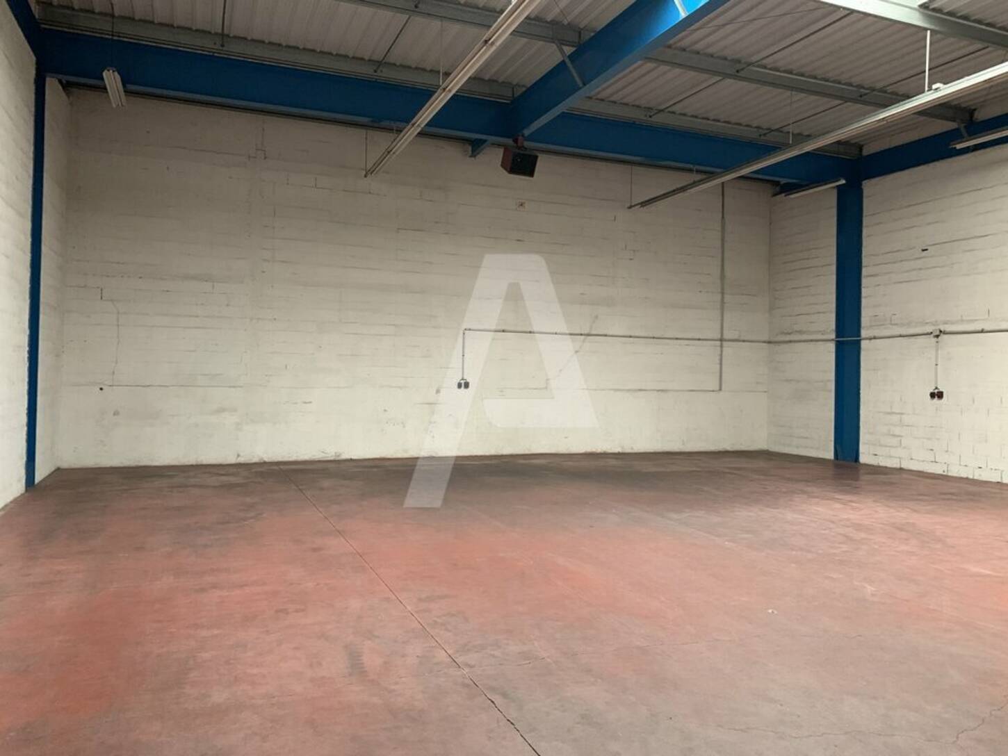 REXIM - Local d'activités - Noisiel - 2