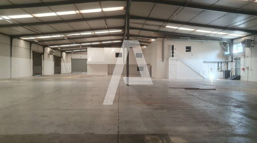 REXIM - Entrepôt - Morangis - 4