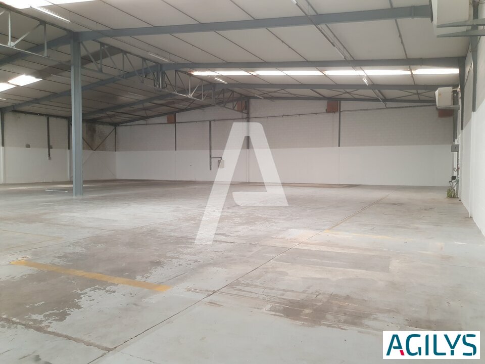 REXIM - Entrepôt - Morangis - 6