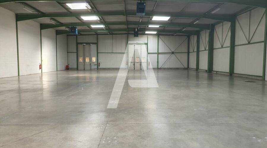 REXIM - Entrepôt - Saint-Thibault-des-Vignes - 2