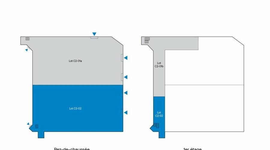 REXIM - Entrepôt - Saint-Thibault-des-Vignes - 7