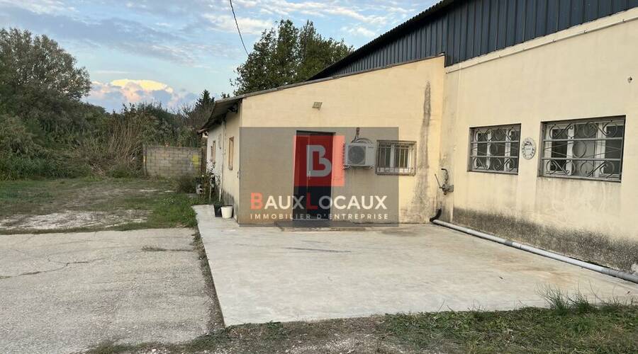 REXIM - Local d'activités - Bouches-du-Rhône - Arles - 3