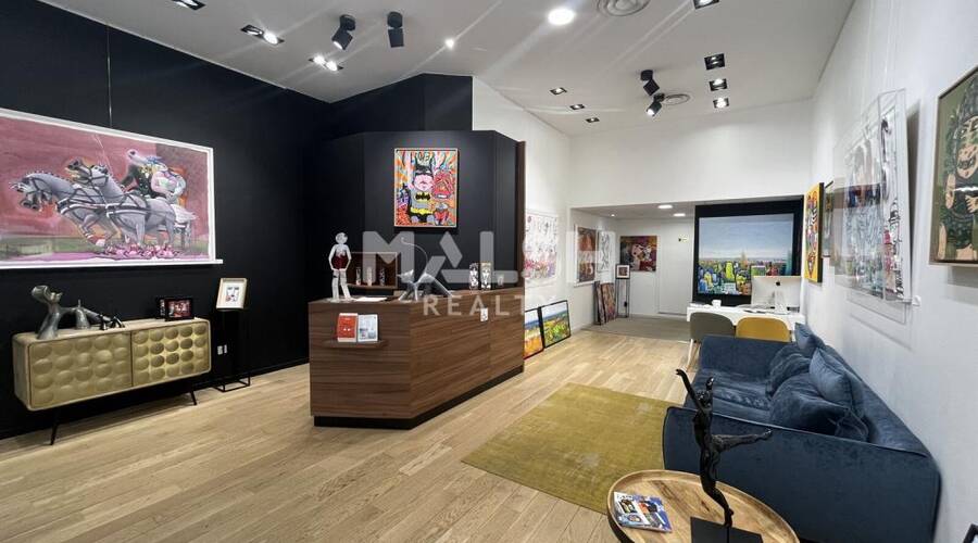 REXIM - Local commercial - Rhône - Lyon - 1