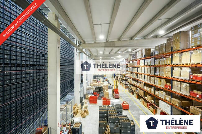 REXIM - Local d'activités - Hérault - Castelnau-le-Lez - 1