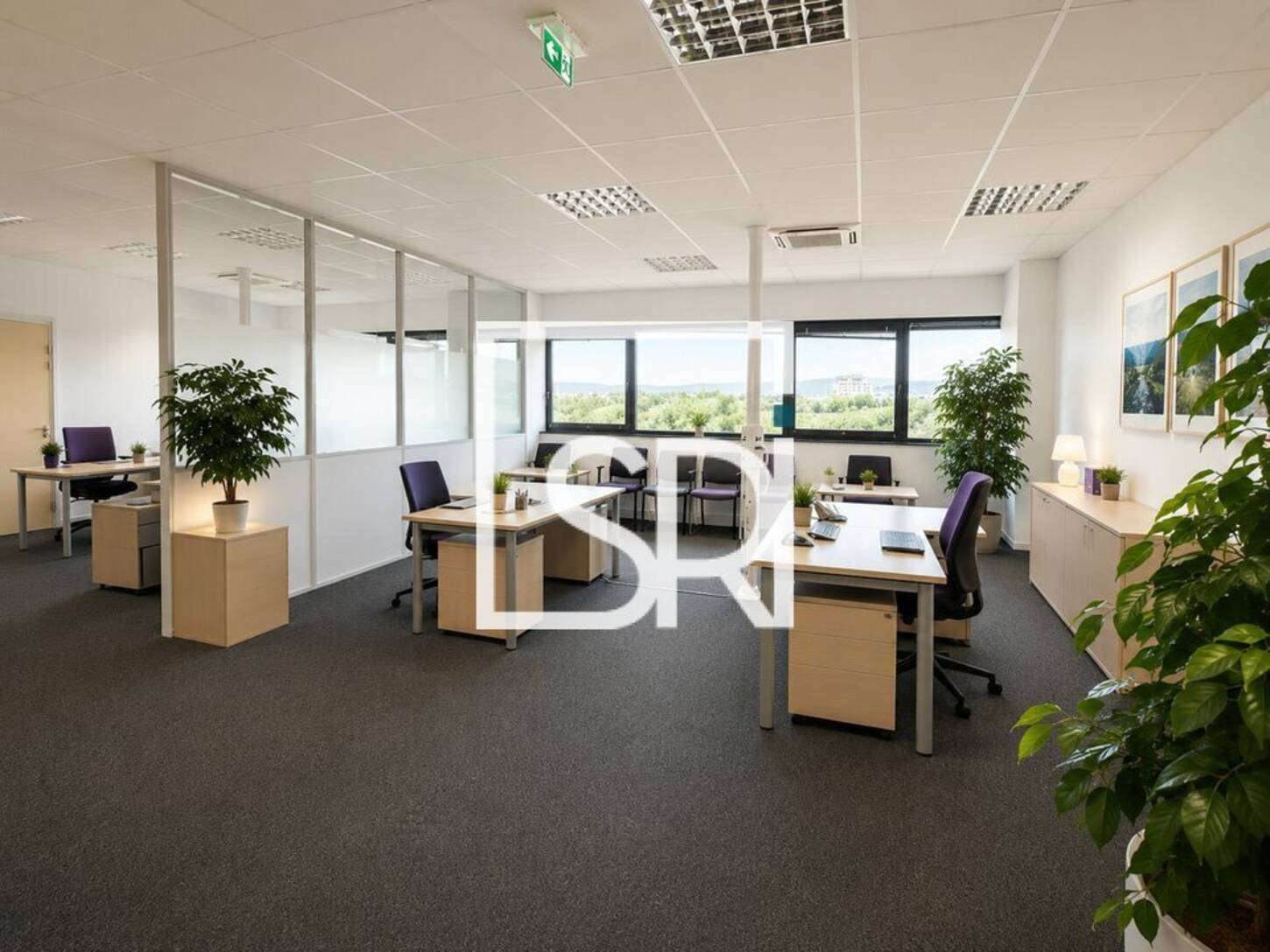 REXIM - Bureau - Puy-de-Dôme - Cournon-d'Auvergne - 2