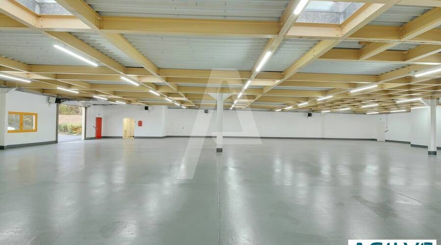 REXIM - Entrepôt - Croissy-Beaubourg - 5