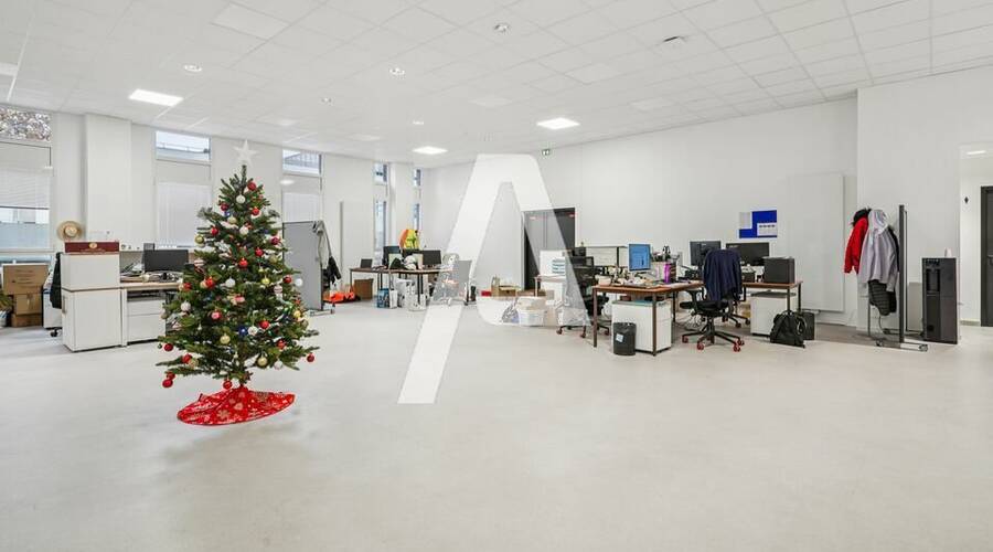 REXIM - Entrepôt - Rungis - 4